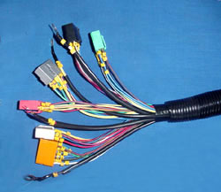 �������ߺ�