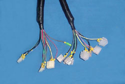 �������ߺ�